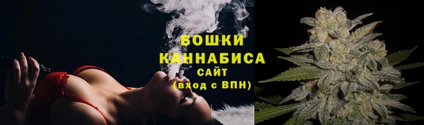 прущие грибы Арсеньев