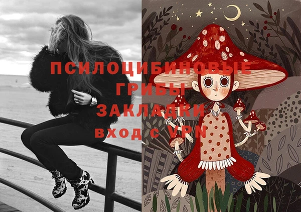 твердый Армянск