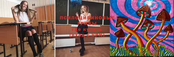синтетический гашиш Алексин