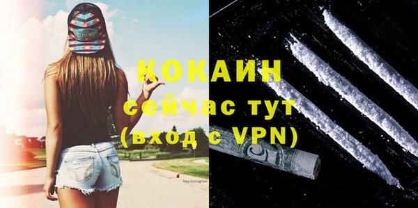 прущие грибы Арсеньев