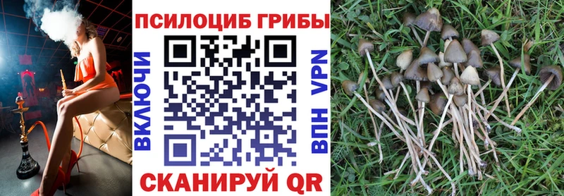 Галлюциногенные грибы мухоморы  Муром 